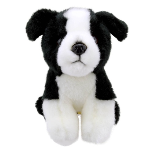 Wilberry Minis - Border Collie