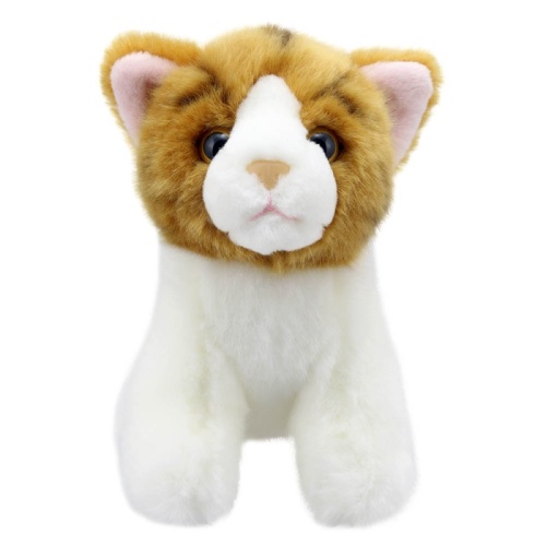 Wilberry Minis - Ginger Cat