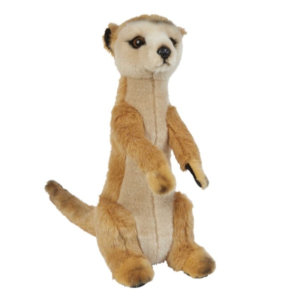 Suma Meerkat