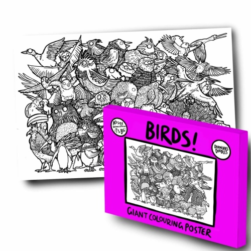 Dixon Does Doodles Colouring Poster - Birds!