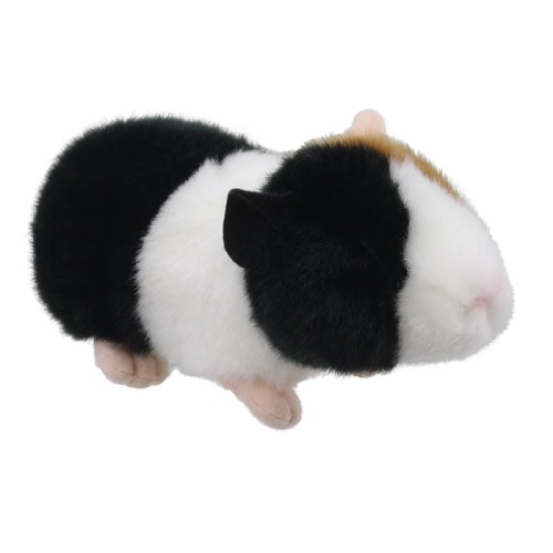Wilberry Minis - Guinea Pig