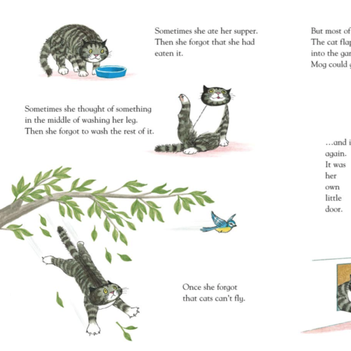 Mog the Forgetful Cat (Board Book)
