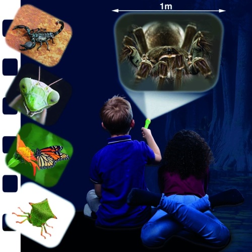 Brainstorm Creepy Crawly Torch and Projector