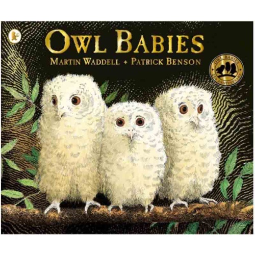 Owl Babies (Board Book)