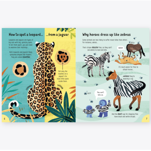 Usborne Lots Of Things To Know About Animals