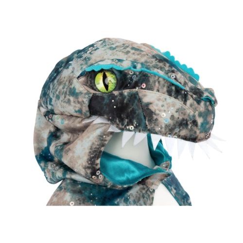 Great Pretenders Raptor Cape Fancy Dress Costume