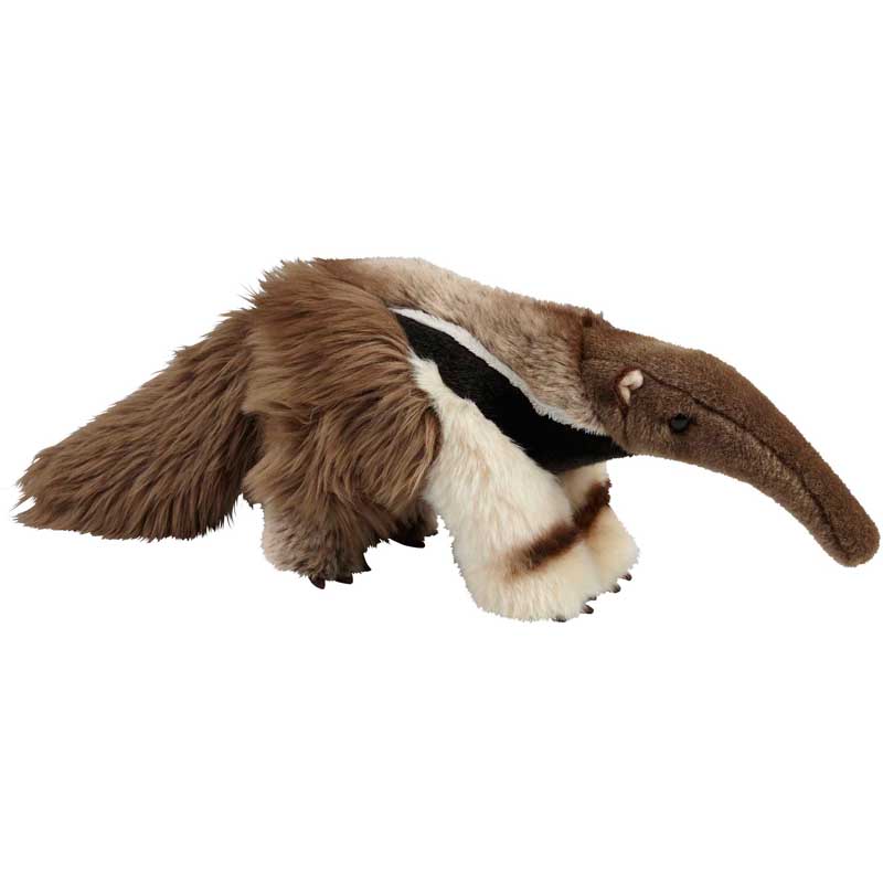Suma Anteater