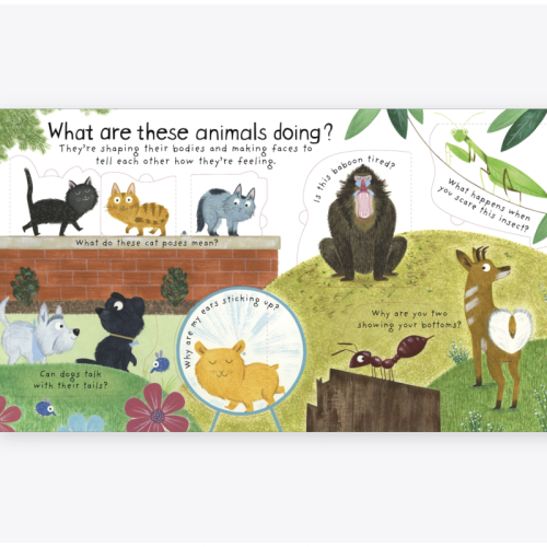 Usborne Lift-The-Flap First Questions and Answers How Do Animals Talk?