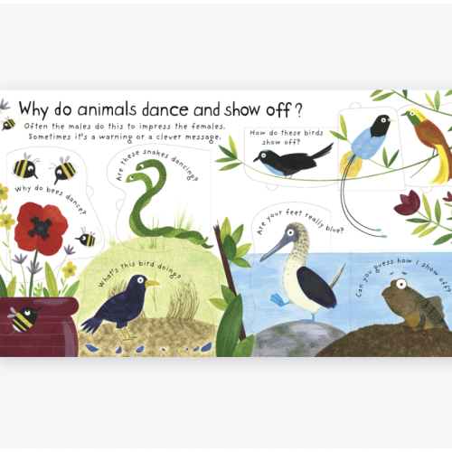 Usborne Lift-The-Flap First Questions and Answers How Do Animals Talk?