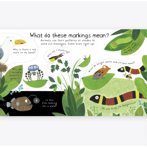 Usborne Lift-The-Flap First Questions and Answers How Do Animals Talk?