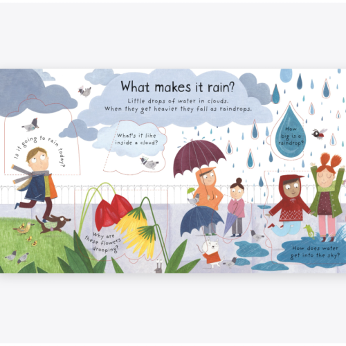 Usborne Lift-The-Flap First Questions and Answers What Makes It Rain?