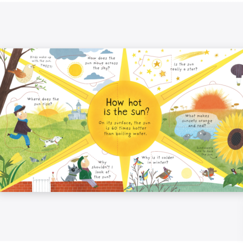 Usborne Lift-The-Flap First Questions and Answers What Makes It Rain?