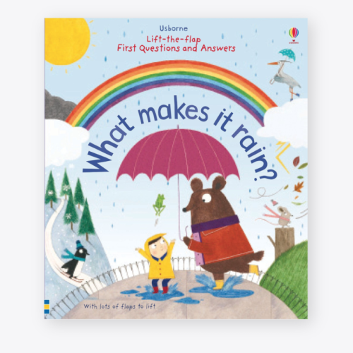 Usborne Lift-The-Flap First Questions and Answers What Makes It Rain?