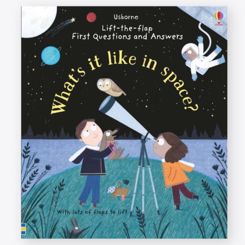 Usborne Lift-The-Flap First Questions and Answers What's It Like In Space?