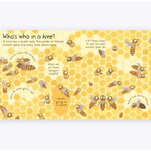 Usborne Lift-The-Flap First Questions and Answers Why Do We Need Bees?