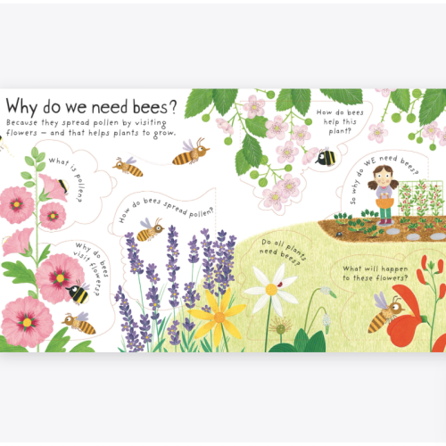 Usborne Lift-The-Flap First Questions and Answers Why Do We Need Bees?