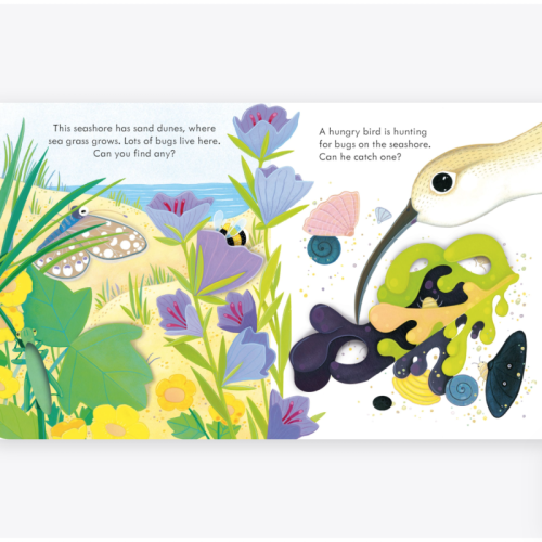 Usborne Peep Inside The Seashore