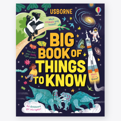 Usborne Big Book Of Things To Know