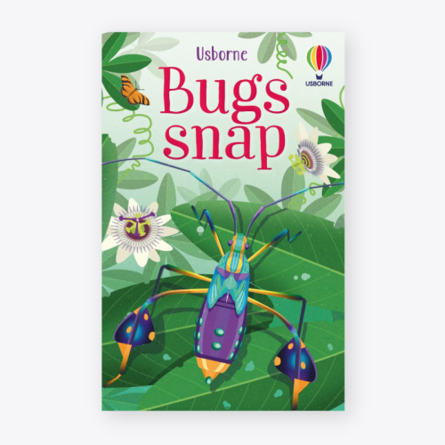 Usborne Bugs Snap