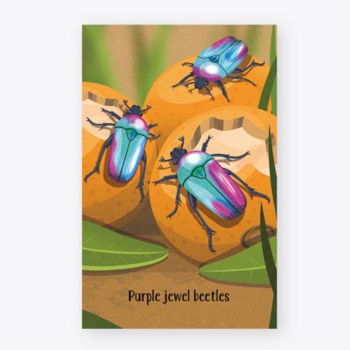 Usborne Bugs Snap