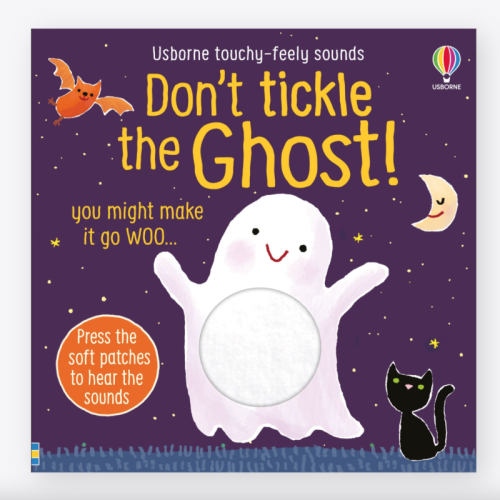 Usborne Noisy Book - Don't Tickle the Ghost!