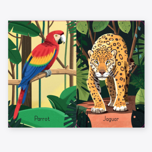 Usborne Jungle Snap