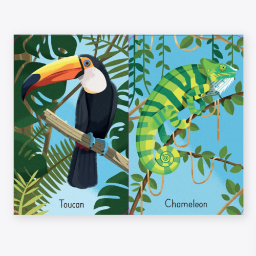 Usborne Jungle Snap