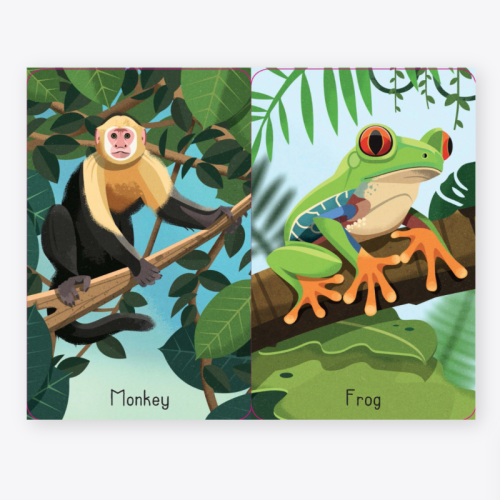 Usborne Jungle Snap