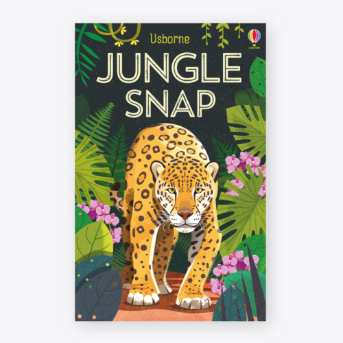 Usborne Jungle Snap