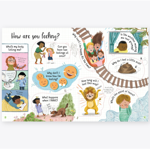 Usborne Lift-The-Flap Questions and Answers About Feelings