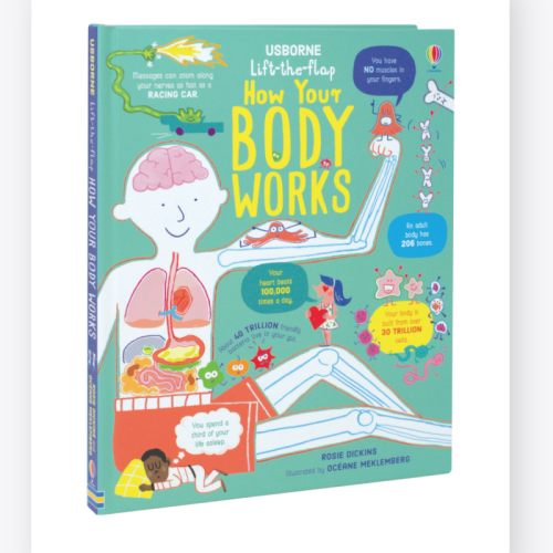 Usborne Lift-The-Flap How Your Body Works