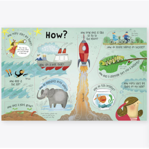 Usborne Lift-The-Flap Questions and Answers