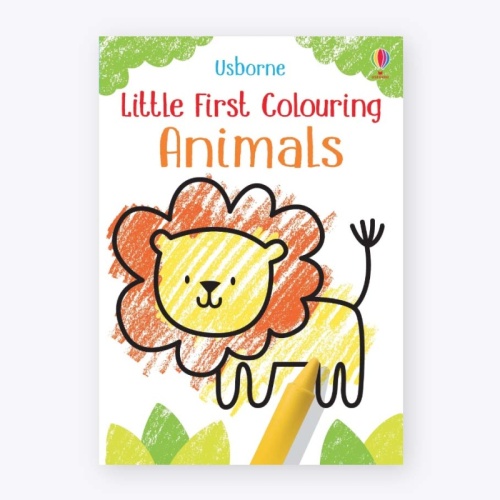 Usborne Little First Colouring Book (Various Designs)