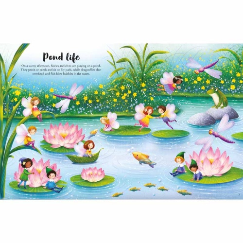 Usborne Fairies, Pixies and Elves Sticker Book